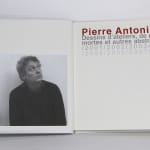 Pierre ANTONIUCCI, Sans titre D, 2008