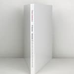 Pierre ANTONIUCCI, Sans titre D, 2008