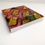 Claude VIALLAT, Une rétrospective, 2014