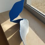 Guillaume MOSCHINI, Kalëidoscope 5, 2020
