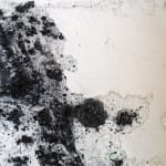Philippe COGNÉE, Sans titre (Vanité), 2009