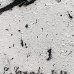 Philippe COGNÉE, Sans titre (Vanité), 2009