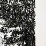 Philippe COGNÉE, Versailles (Bête), 2011