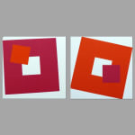 Vera MOLNAR, Deux se singularisent, 2008