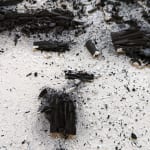Philippe COGNÉE, Sans titre (Vanité), 2009