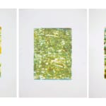 Philippe COGNÉE, Triptyque Casablanca, 2005