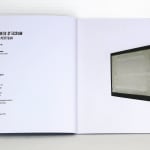 Olivier PETITEAU, La Mikron 7, 2009