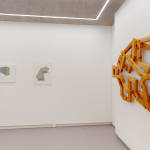 Olivier PETITEAU, 50 angles, 2024