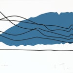 Olivier PETITEAU, La Mikron 7, 2009