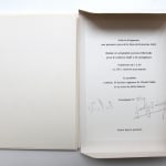Claude VIALLAT, Triangle, Versions VI à X, 1992