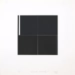 Marie-Thérèse VACOSSIN, Eléments constitutifs 1 , 1980