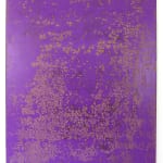Pierre GALOPIN, A part of, 2019