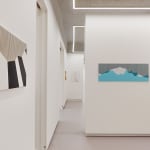 Frédéric BOUFFANDEAU, Sans titre - NE 012, 2017