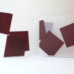 Vera MOLNAR, Dispersés B, 19/21, 2001