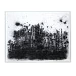 Philippe COGNÉE, Sans titre (Vanité), 2009