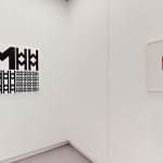 Vera MOLNAR, Disparition, 1989