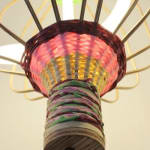Amy Lewis, Fluorescence