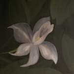 Kamila Sipika, In The Garden III