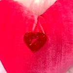 Yamuna Forzani, Large Plexi Heart Pillow