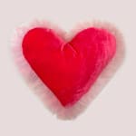 Yamuna Forzani, Large Plexi Heart Pillow