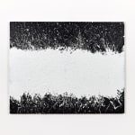 Shannon Ferraioli, Vinyl Vibes, 2022