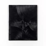 Shannon Ferraioli, Vinyl Vibes, 2022
