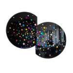 Jiro Kamata, Palette Brooch No.9, 2015