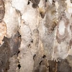 Jaydan Moore, Inverse Formation, 2012