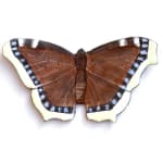 Jutta Klingebiel, Essex Emerald Green Moth