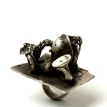 Karl Fritsch, 429, 2007