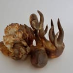 Soe Yu Nwe, Snake Fruit Flower Tree, 2024