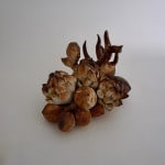 Soe Yu Nwe, Snake Fruit Flower Tree, 2024