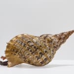 Ming Wong, Susan Wongtag Stockholm Diary, 2024/2025