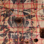 Juanita McLauchlan, Standing at the Heart of Seven Generations