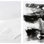 Rohan Hutchinson, Untitled 9 A + B