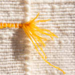 Frances Van Hasselt, Postcards from Leeu-Gamka