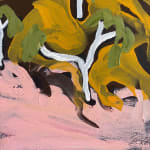 Zak Tilley, Finke Larapinta River I