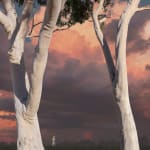 Lindsay Blamey, Arrival II