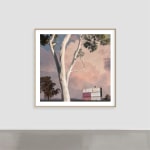 Lindsay Blamey, Arrival II