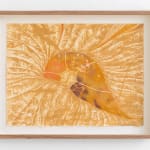 Clara Busch, Gradual Forever, 2025