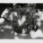 Signe Ralkov, Studio, 2025