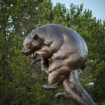 Dan Ostermiller, Waiting to be Hitched