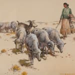 Nick Eggenhofer, Navajo Sheep