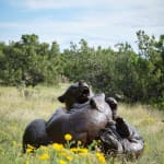 Dan Ostermiller, Waiting to be Hitched