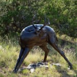 Dan Ostermiller, Waiting to be Hitched