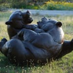 Dan Ostermiller, Waiting to be Hitched