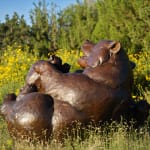 Dan Ostermiller, Waiting to be Hitched