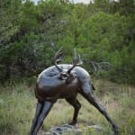 Dan Ostermiller, Waiting to be Hitched