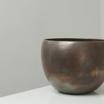 Joanna Constantinidis, Bowl