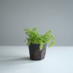 Richard Batterham, Cut sided bowl